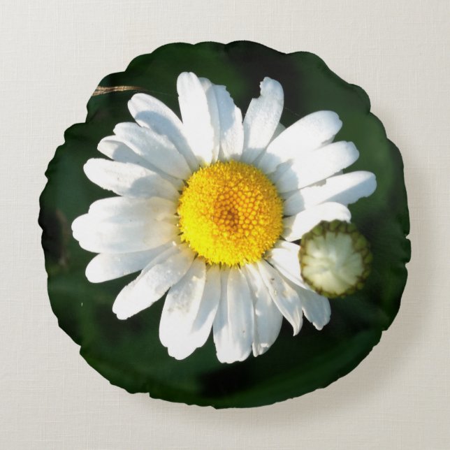 Coussin jetable à marguerite blanche (Devant)