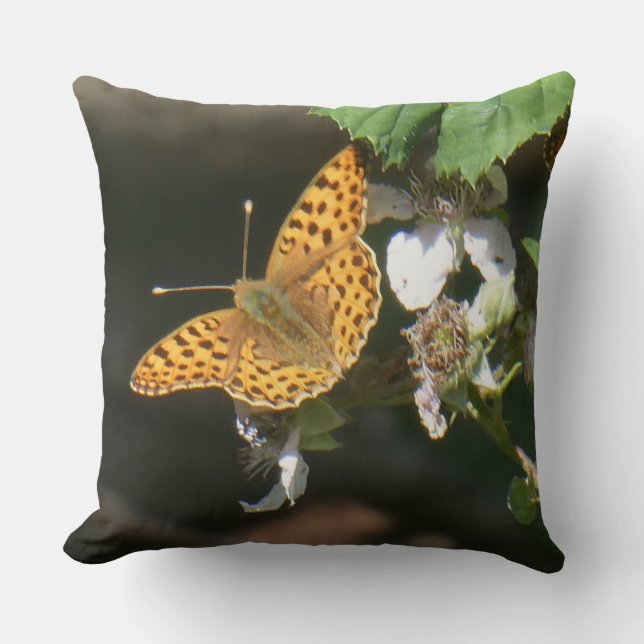 Coussin jetable papillon fritillary Reine d'Espagn (Recto)