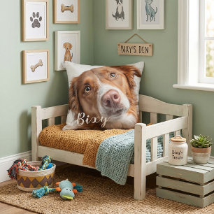 Coussin jeté pour animal de compagnie meilleures a