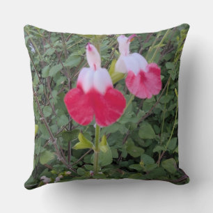 Coussin jeté - série Florale - Sauge Lèvres chaude
