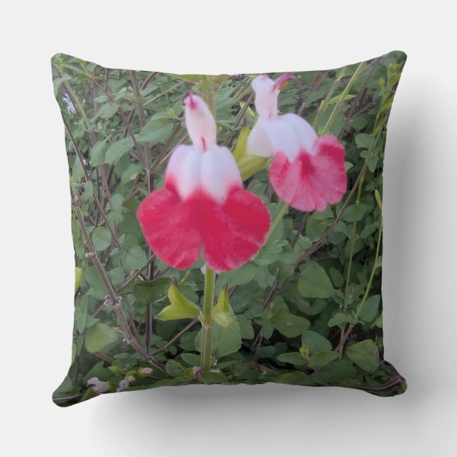 Coussin jeté - série Florale - Sauge Lèvres chaude (Verso)
