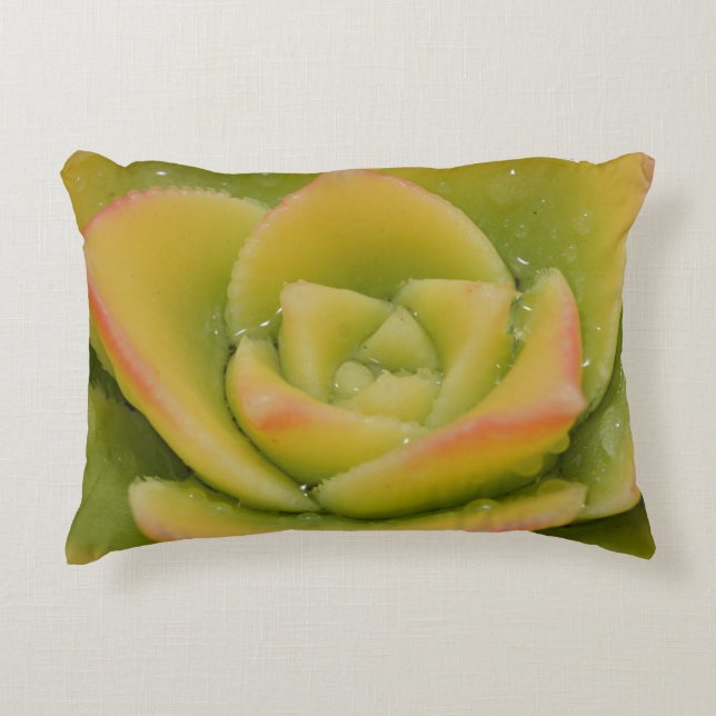Coussin jeté succulent | Décoration verte botaniqu (Devant)