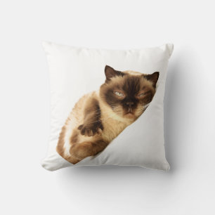 Coussin Jeter l'oreiller 16 po x 16 po
