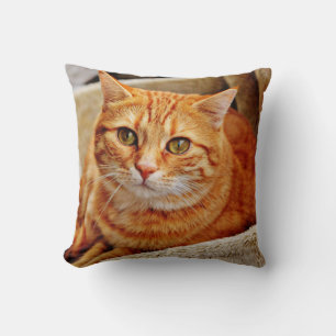 Coussin Jeter l'oreiller 16 po x 16 po