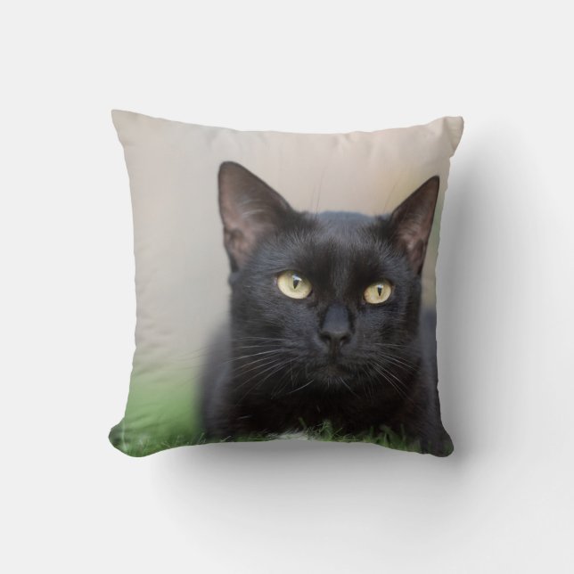 Coussin Jeter l'oreiller 16 po x 16 po (Recto)