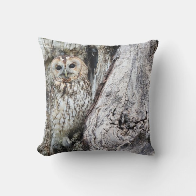 Coussin Jeter l'oreiller 16 po x 16 po (Recto)