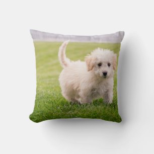 Coussin Jeter l'oreiller 16 po x 16 po