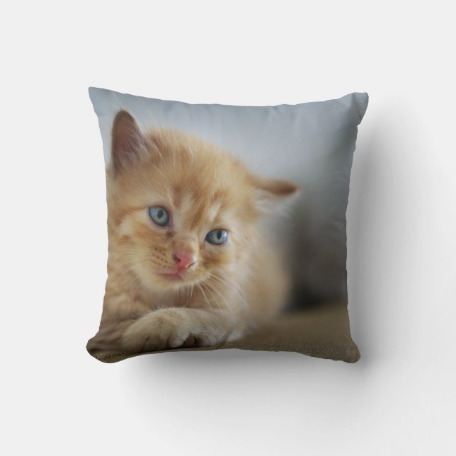 Coussin Jeter l'oreiller 16 po x 16 po (Recto)