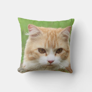 Coussin Jeter l'oreiller 16 po x 16 po