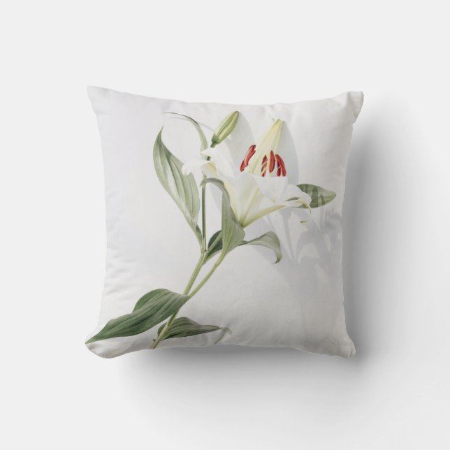Coussin Jeter l'oreiller 16 po x 16 po (Recto)