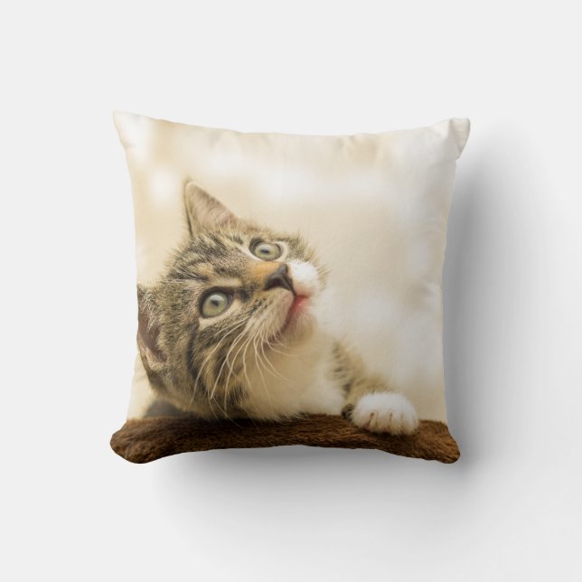 Coussin Jeter l'oreiller 16 po x 16 po (Recto)