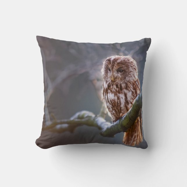 Coussin Jeter l'oreiller 16 po x 16 po (Recto)