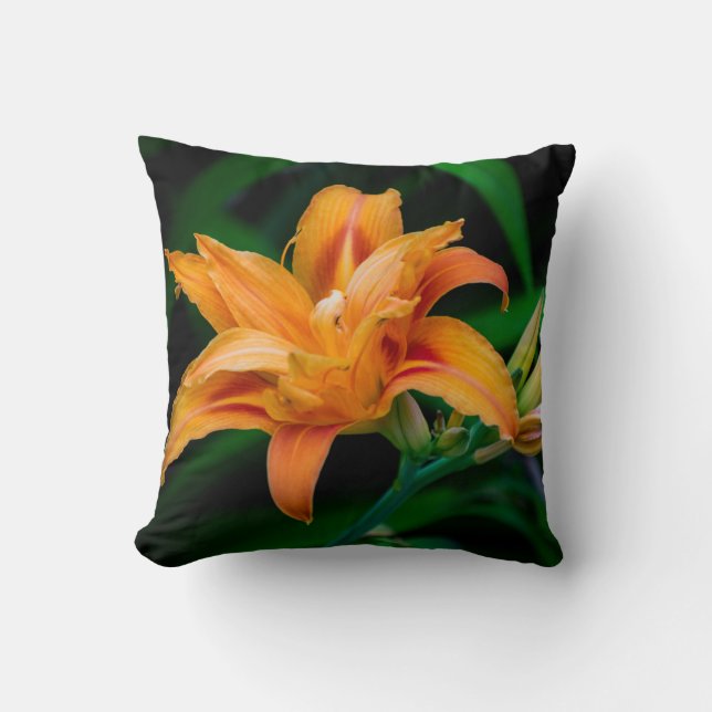 Coussin Jeter l'oreiller 16 po x 16 po (Recto)