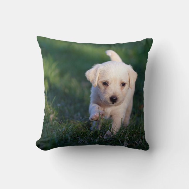 Coussin Jeter l'oreiller 16 po x 16 po (Recto)