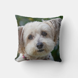 Coussin Jeter l'oreiller 16 po x 16 po