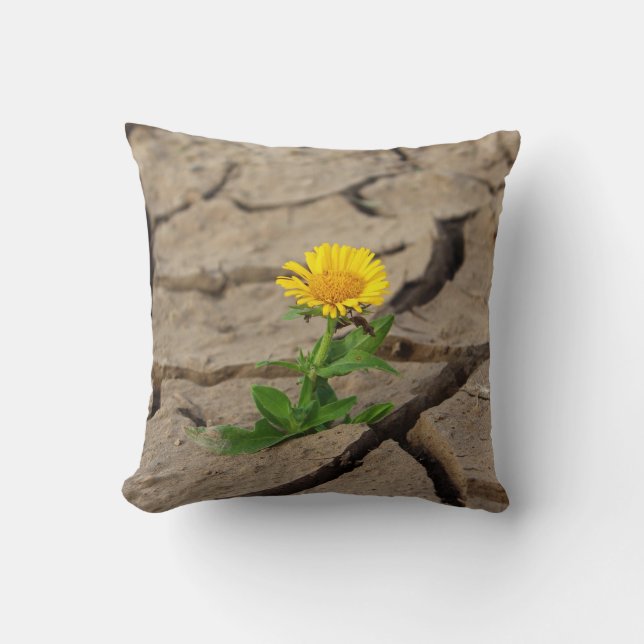 Coussin Jeter l'oreiller 16 po x 16 po (Recto)