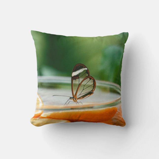 Coussin Jeter l'oreiller 16 po x 16 po (Recto)