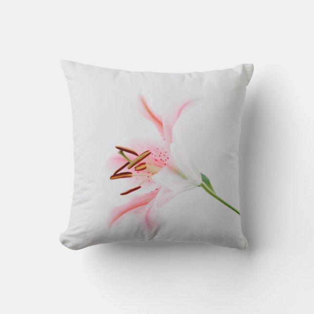 Coussin Jeter l'oreiller 16 po x 16 po (Recto)