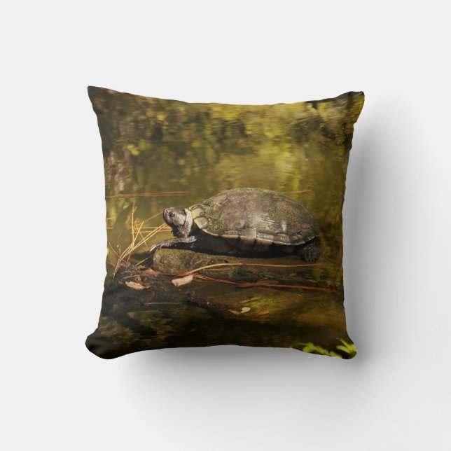 Coussin Jetez l'oreiller - Tortue lors de l'ouverture de s (Recto)