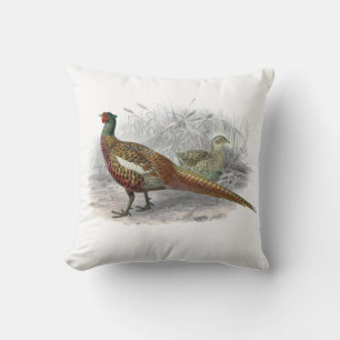 Coussin Jeu de faisan vintage Couleur de dessin d'oiseau #