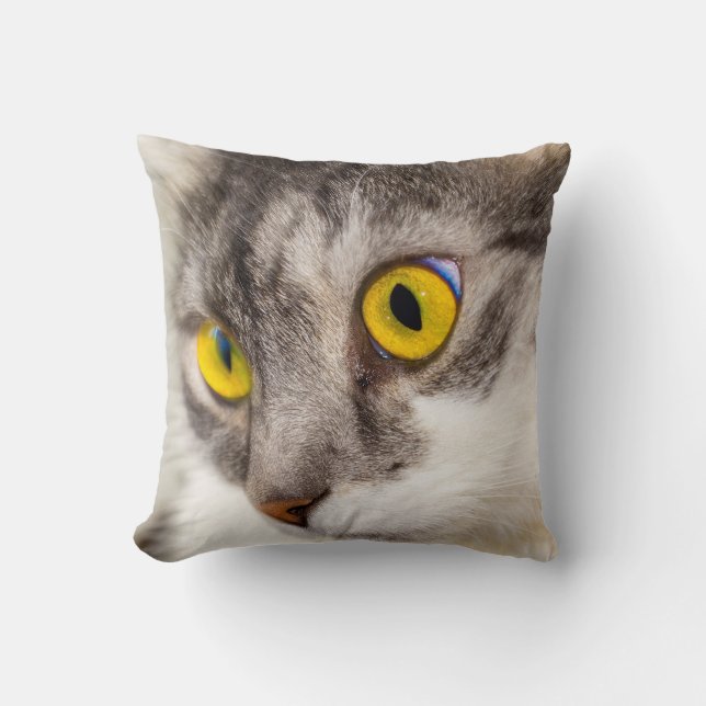Coussin Jeu d'oreiller - Chat (Recto)