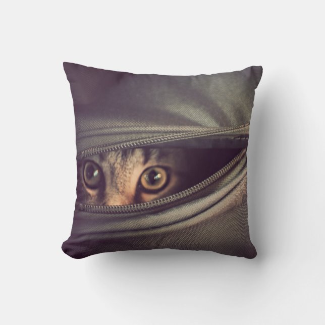 Coussin Jeune chaton tigré (Recto)