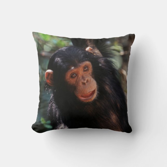 Coussin Jeune chimpanzé (Recto)