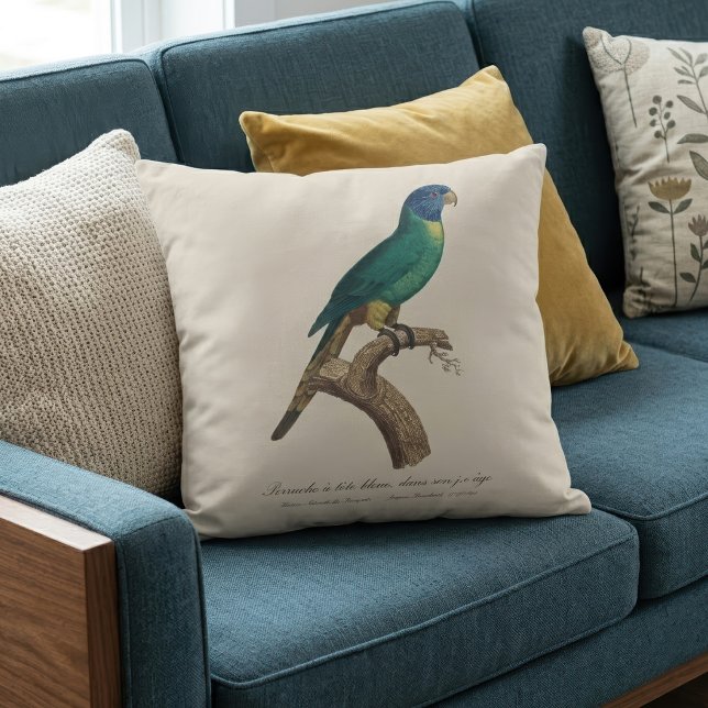 Coussin Jeune loriquet arc-en-ciel Trichoglossus moluccanu (Perruche a tete bleue / Rainbow lorikeet, juvenile. Throw Pillow)