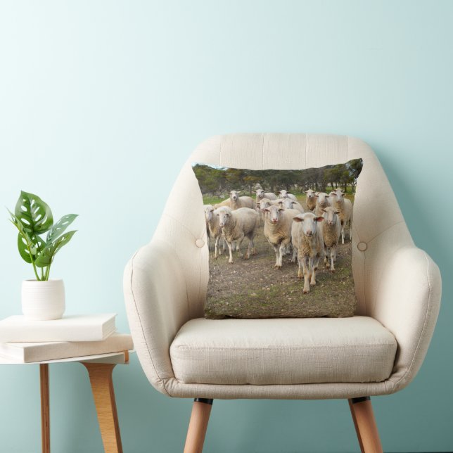 Coussin Jeune mouton laineux blanc, (Chaise)
