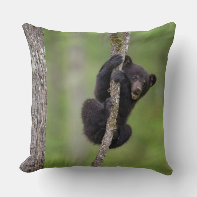 Coussin Jeune ours noir jouant, Tennessee (Recto)