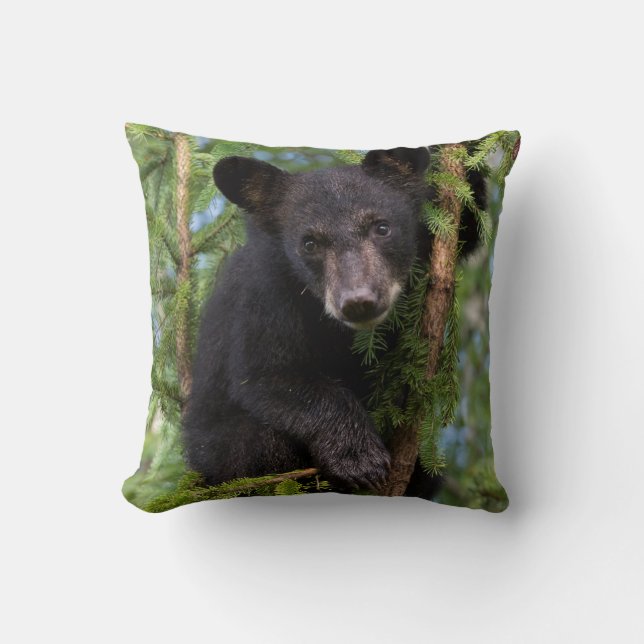 Coussin Jeune ourson noir jouant dans les arbres (Recto)