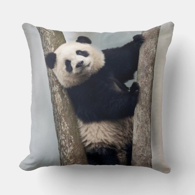 Coussin Jeune panda grimpant à un arbre, Chine (Recto)