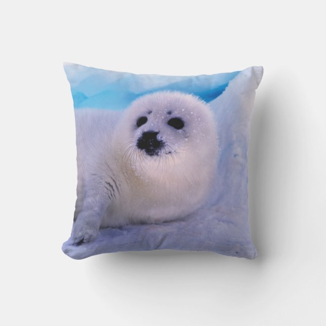 Coussin Jeune phoque de la baie couvert de flocons de neig (Recto)