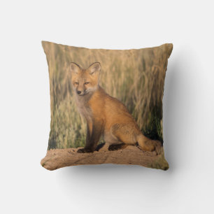 Coussin Jeune renard roux à l'heure dorée