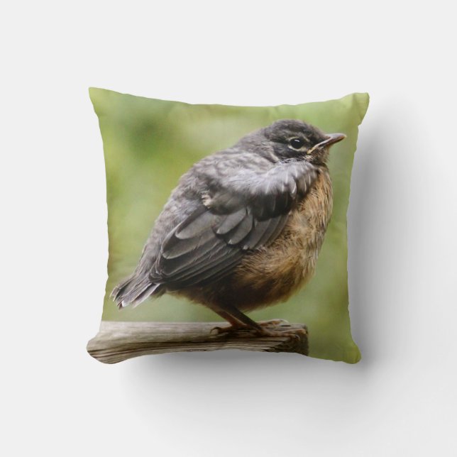 Coussin Jeune Robin (Recto)