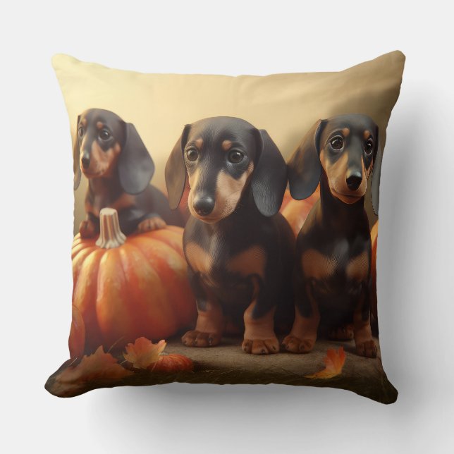 Coussin Jeune teckel Délice d'automne Citrouille (Recto)