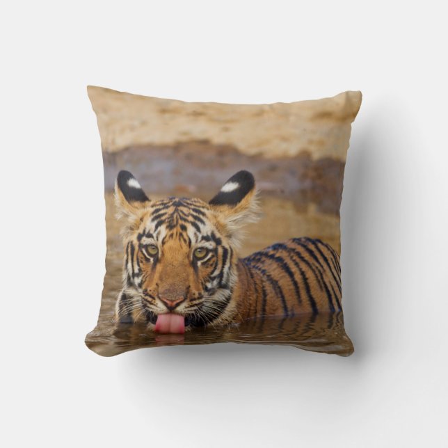Coussin Jeune tigre du Bengale royal, buvant de l'eau (Recto)