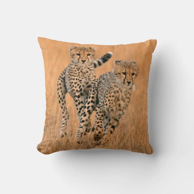Coussin Jeunes guépards (Acinonyx Jubatus) en train de cou (Recto)