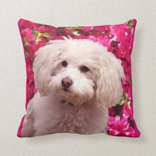 Coussin Joli caniche