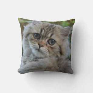 Coussin Joli chaton persan