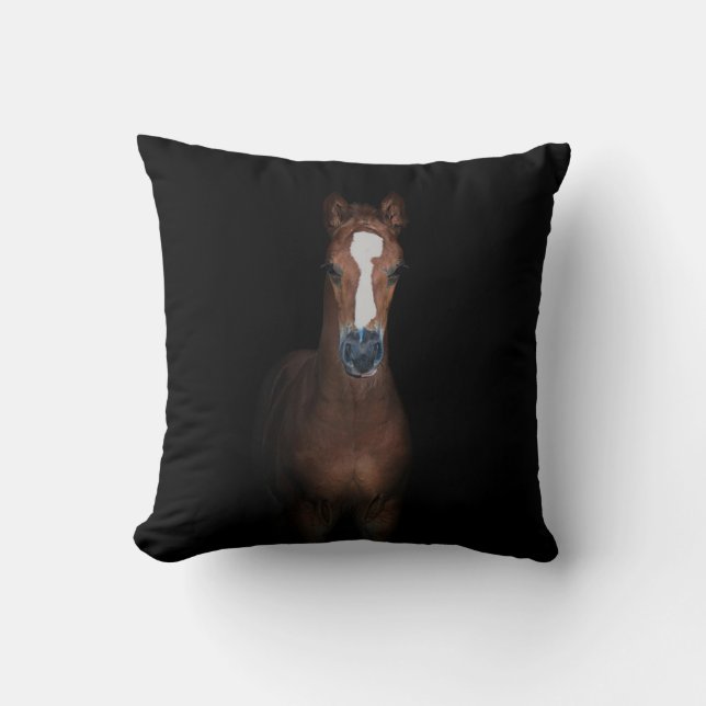 Coussin Joli cheval de poulain noir arrière - plan (Recto)