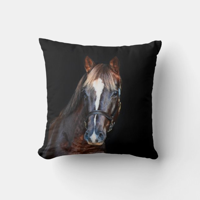 Coussin Joli cheval de poulain noir arrière - plan (Recto)