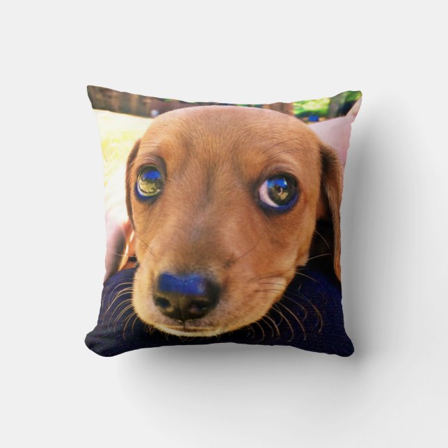 Coussin Joli chien chiot Brown Dachshund (Recto)