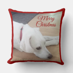 Coussin Joli chien portant un collier rouge Noël
