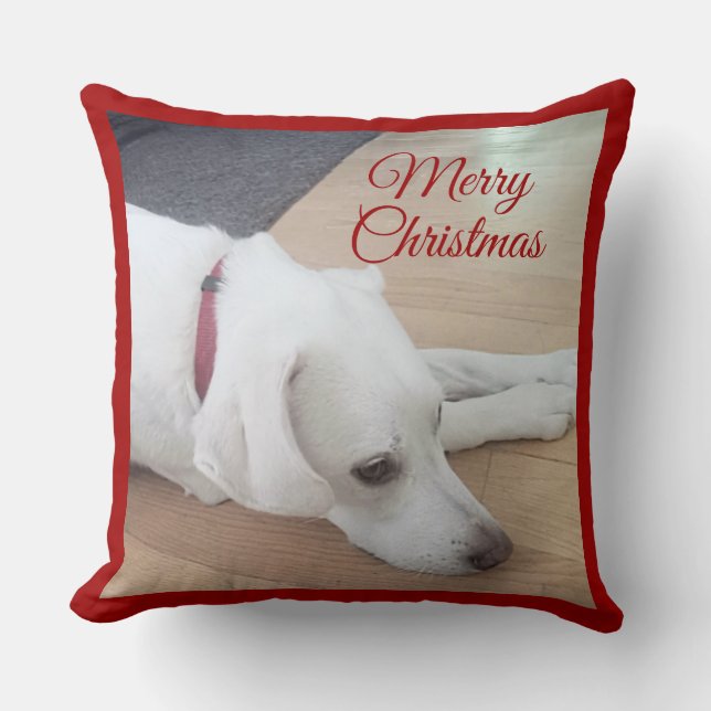 Coussin Joli chien portant un collier rouge Noël (Recto)