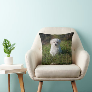 Coussin Joli chiot blanc
