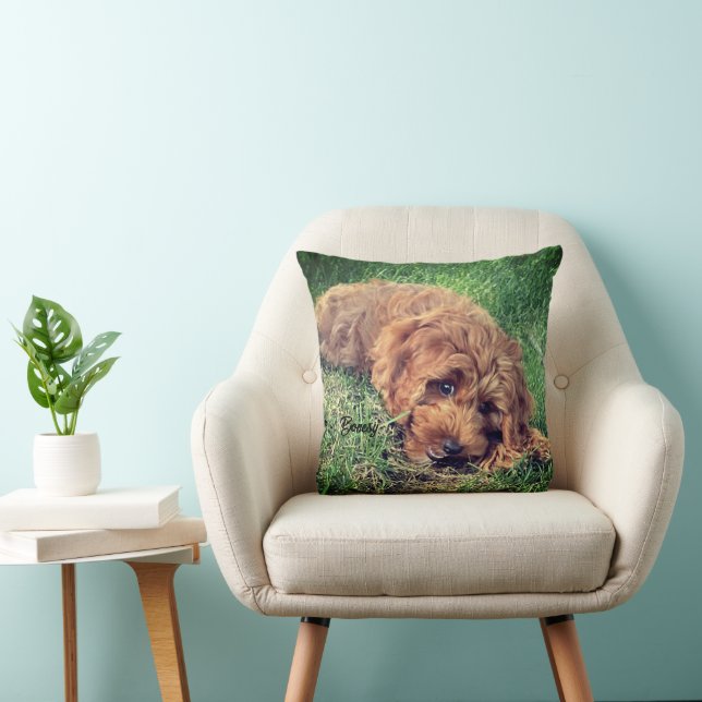 Coussin Joli Golden Doodle (Chaise)