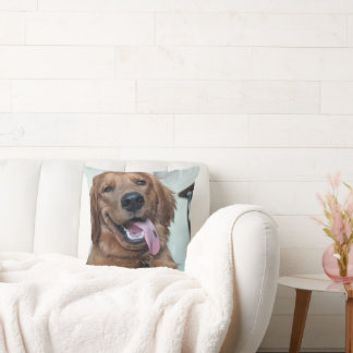 Coussin Joli Golden Retriever | Photographie de Chien Orig