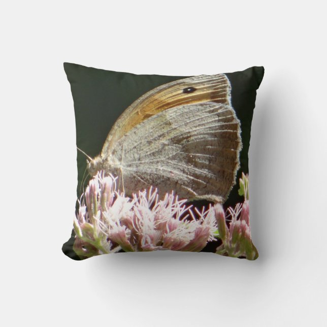 Coussin Joli gros papillon (Recto)