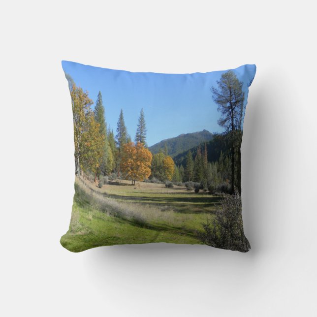 Coussin Joli jour dans la vallée... (Recto)